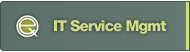 IT Service Management